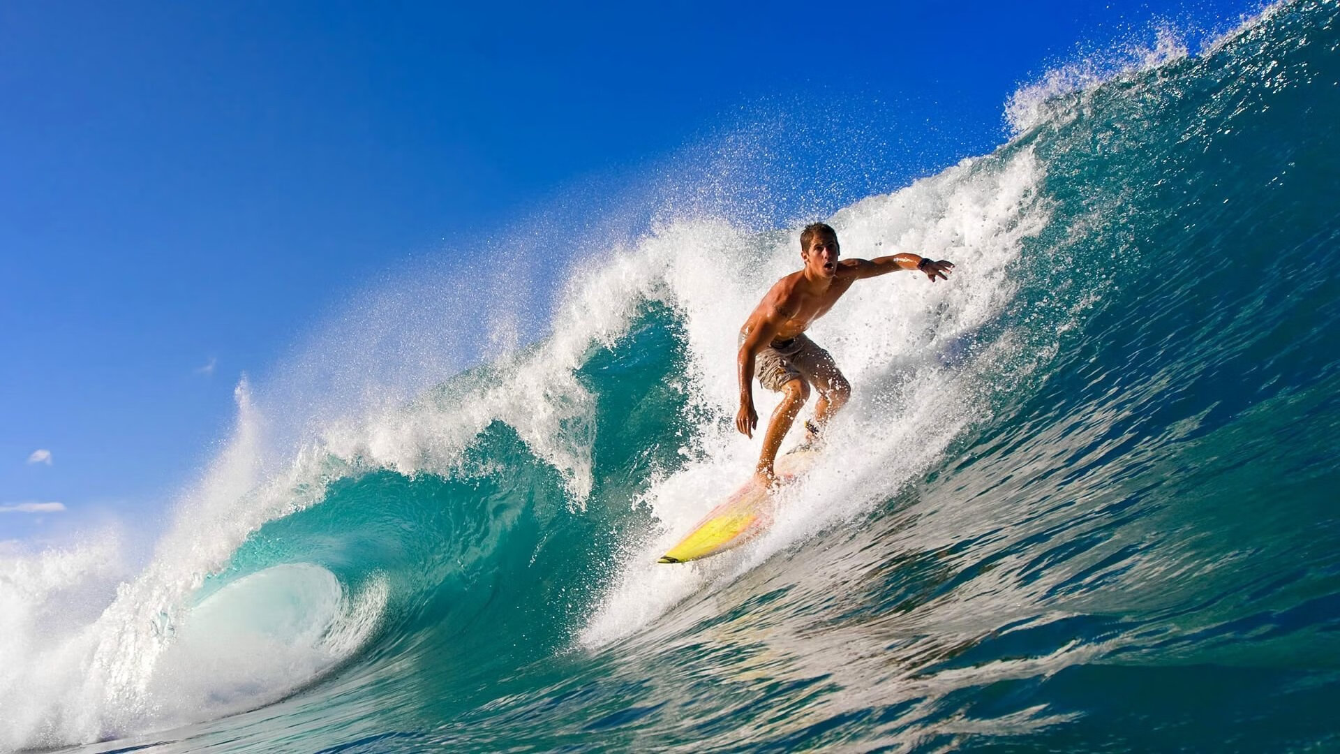 张雨霏蝶泳段强势追回劣势，蝶泳冠军张雨霏是哪里人