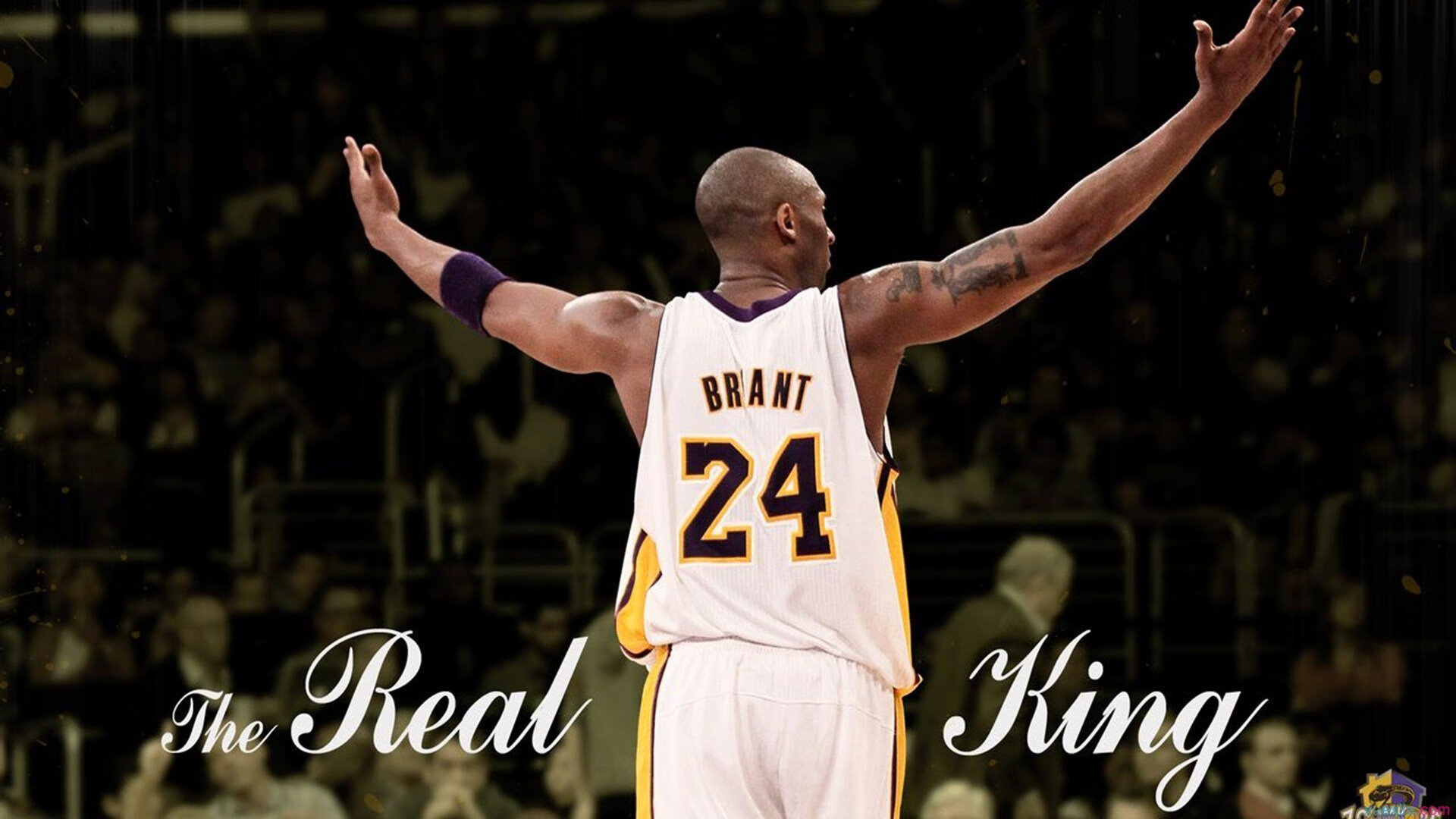 一图读懂:中国发布WTO特殊待遇立场,2020中国wto